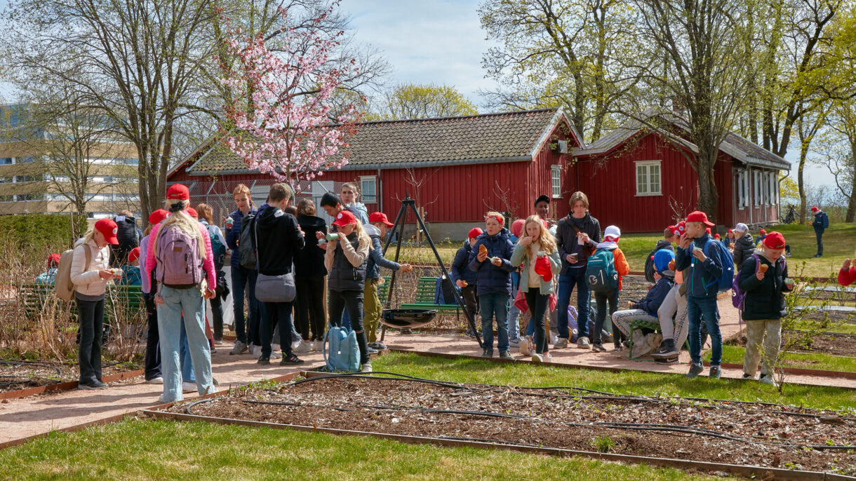 Fåbros-garden-Lilleakerbyen