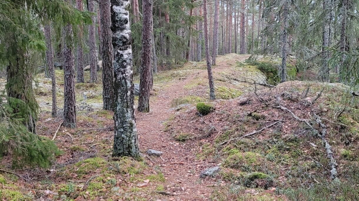 Hva betyr naturmangfold og arealnøytralitet i praksis? Brød & Miljø kan du enten strømme eller du kan delta fysisk i Josefines gate. Foto: Nordre Follo kommune