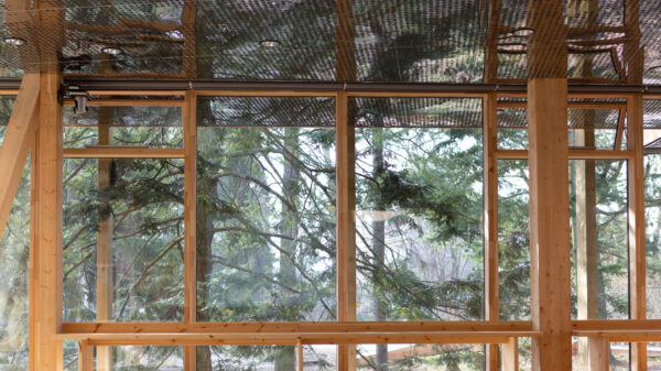 Anne Truelsen Schultz, landskapsarkitekt i ATSITE, håper historien om tsugaen kan inspirere flere til å bevare trærne som er på tomta når de skal bygge. Foto: Tove Lauluten