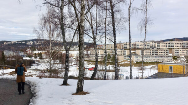 Blikk på tomten til Furuset hageby