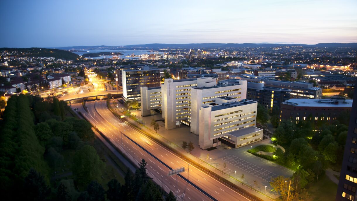 Fredrik Selmers vei oversiktsbilde