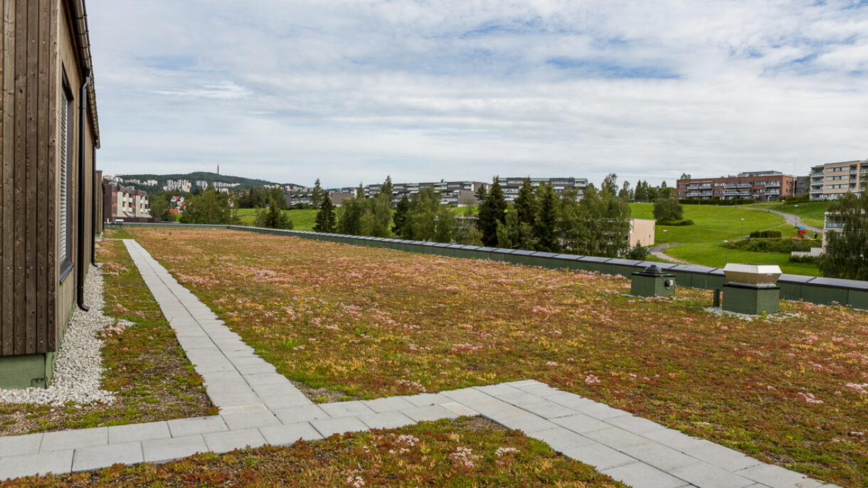 Granstangen skole interiør