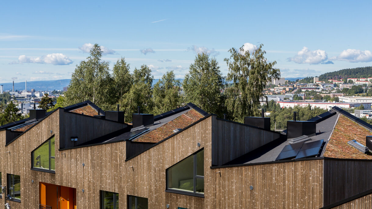 Ulsholtveien 31 Blomstereng Foto Tove Lauluten