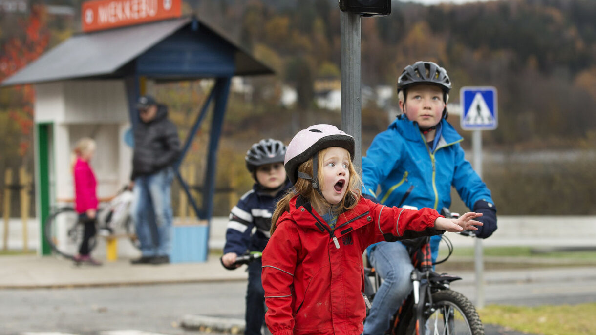 Sykkelpark Photo Sverre Chr. Jarild - 1