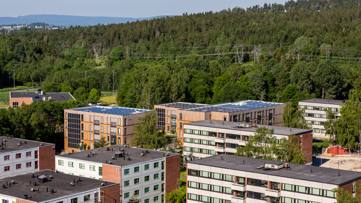 TLauluten__T5B4919_web-72dpi