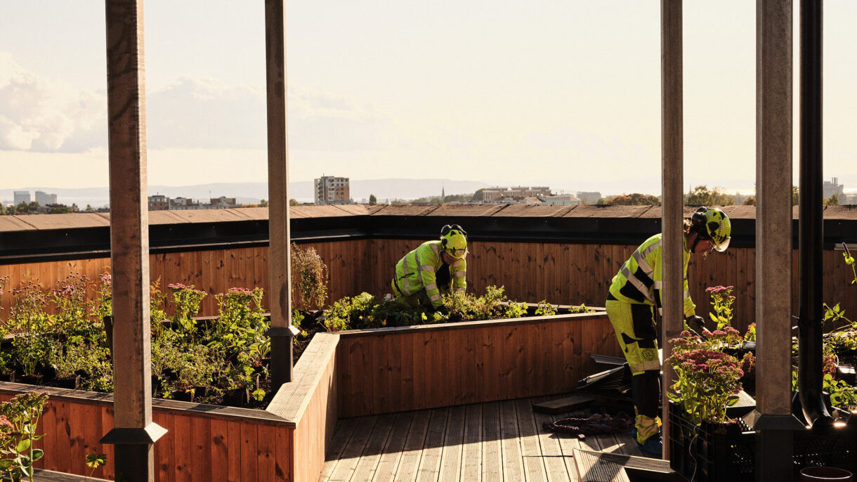 2015120 OS N673 publication