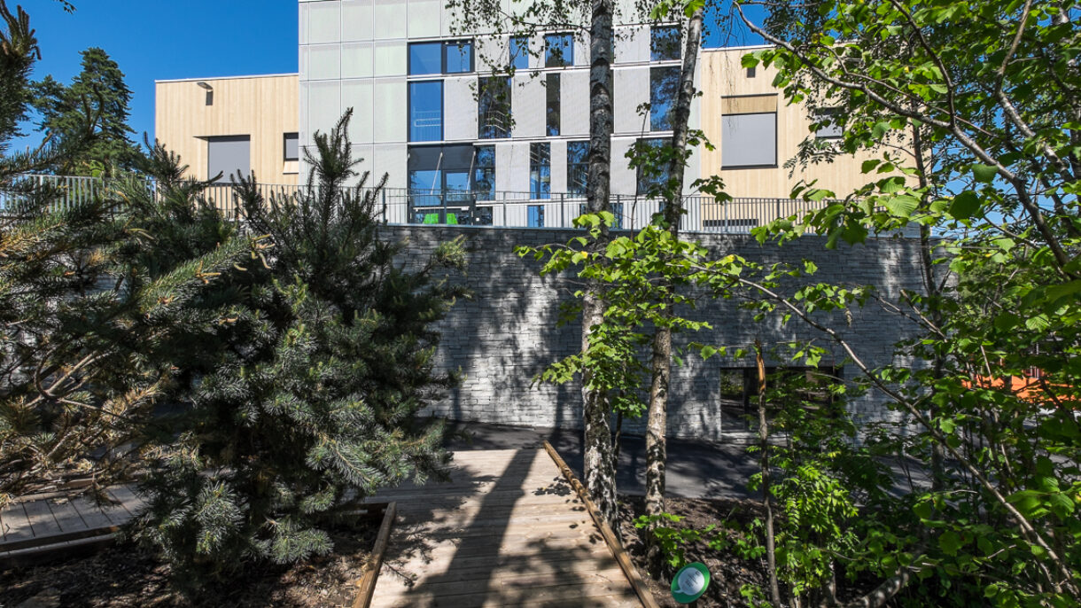 Bjørnsletta skole vegetasjon Fotograf Tove Lauluten