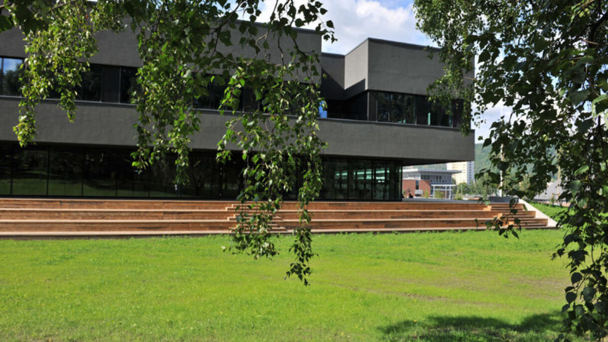 Marienlyst skole dagslys