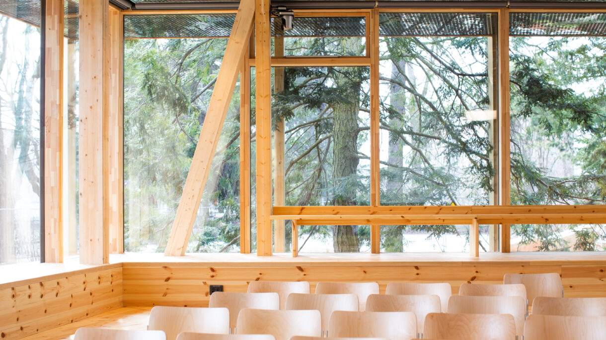 Amfiet utsnitt__Foto_NHM-Jarli & Jordan